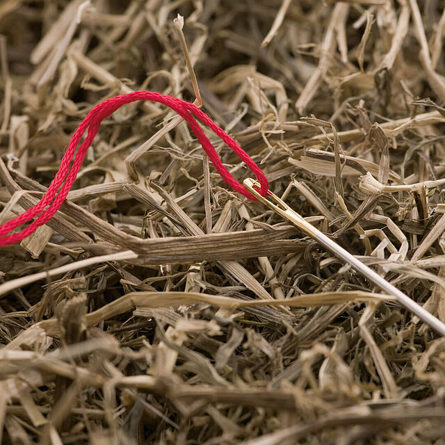 [Translate to italienisch:] 