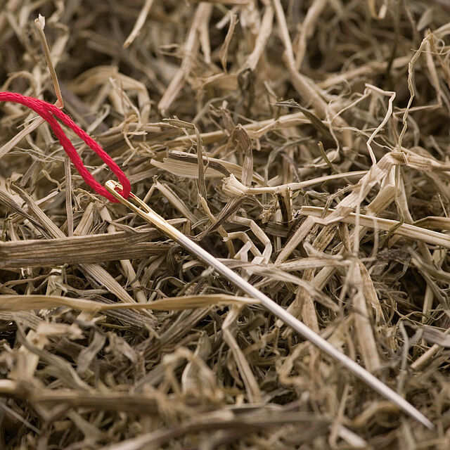 [Translate to English:] 