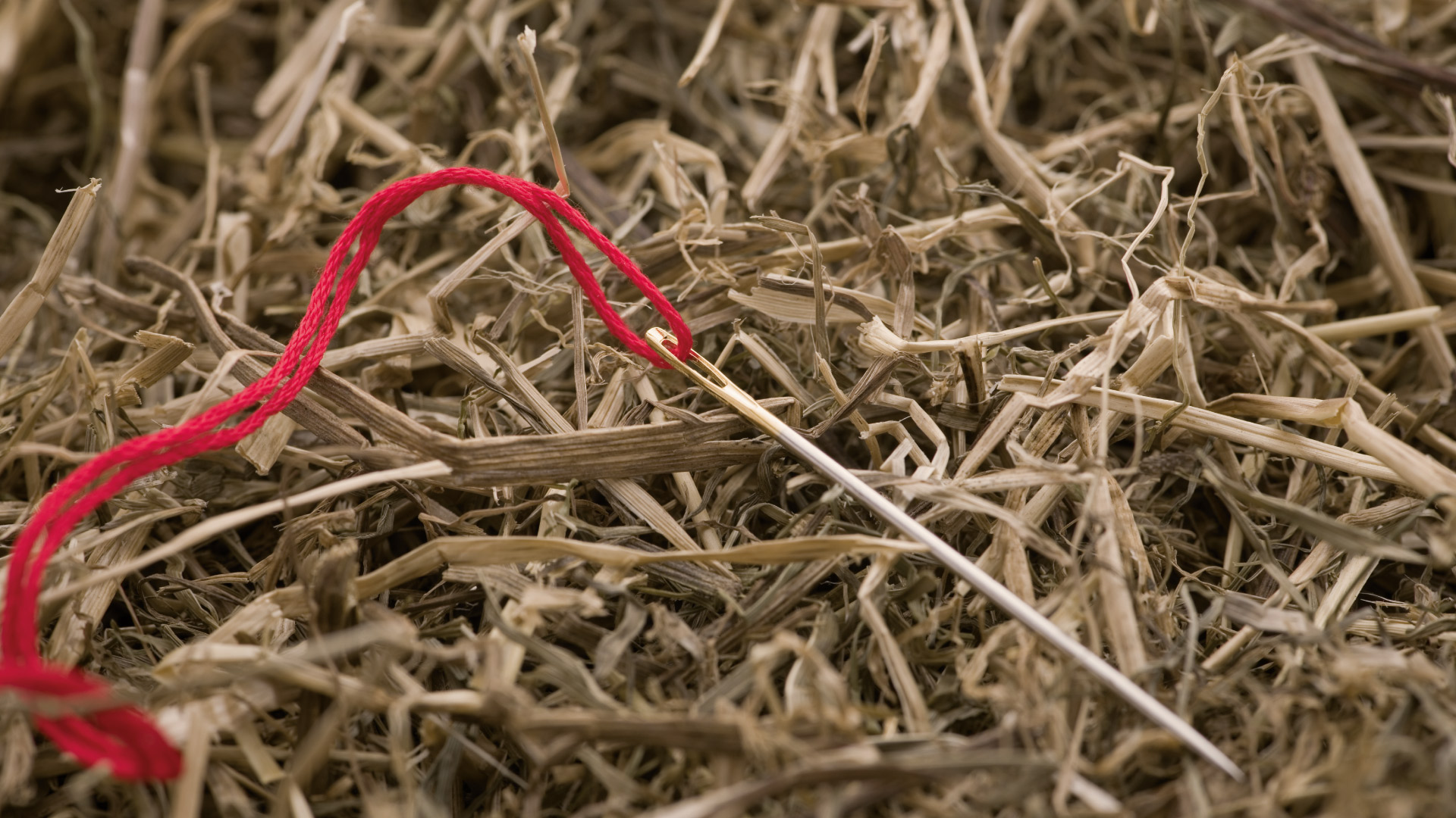 MITARBEITER PRÜFSTAND (M/W/D)